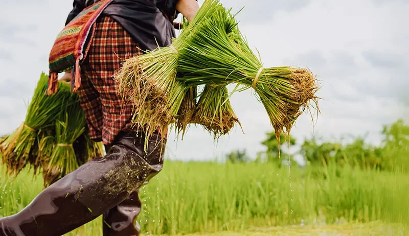 There are many variations of passages of Lorem Ipsum available, but majority have suffered teration in some form, by injected humour, or randomised words which don't look even slight believable. If you are going to use a passage of Lorem Ipsum.